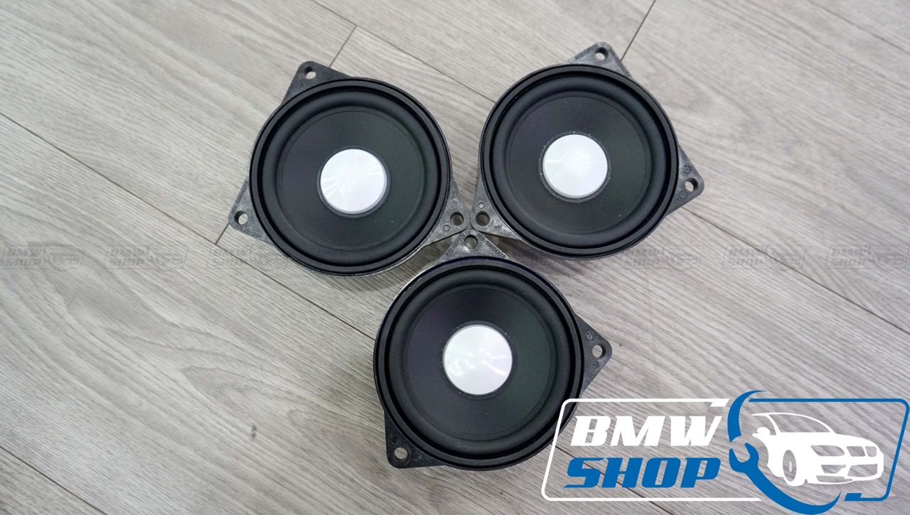 Loa Harman Kardon BMW 3 Series F30